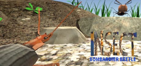Insect: Bombardier beetle