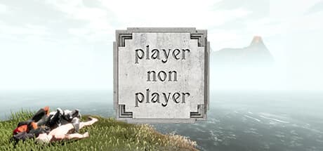Player Non Player