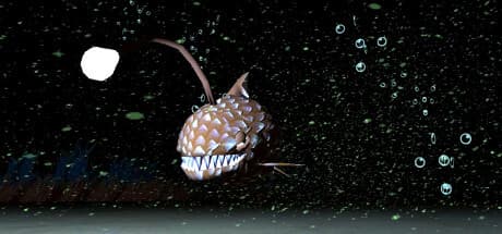 Ladybugs and Storm