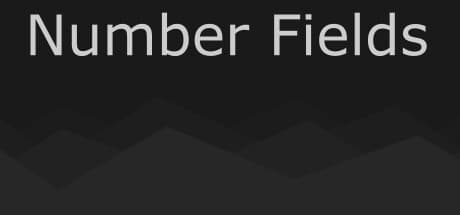 Number Fields