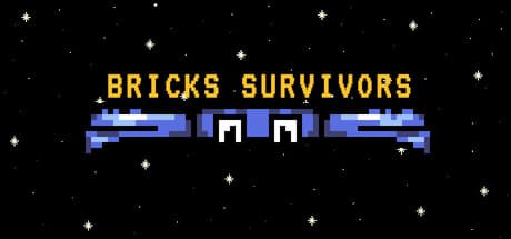 Bricks Survivors