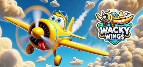 Wacky Wings VR Edition
