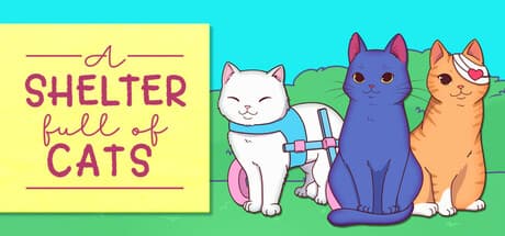 A Shelter Full of Cats