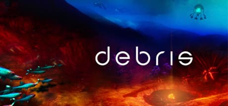 Debris